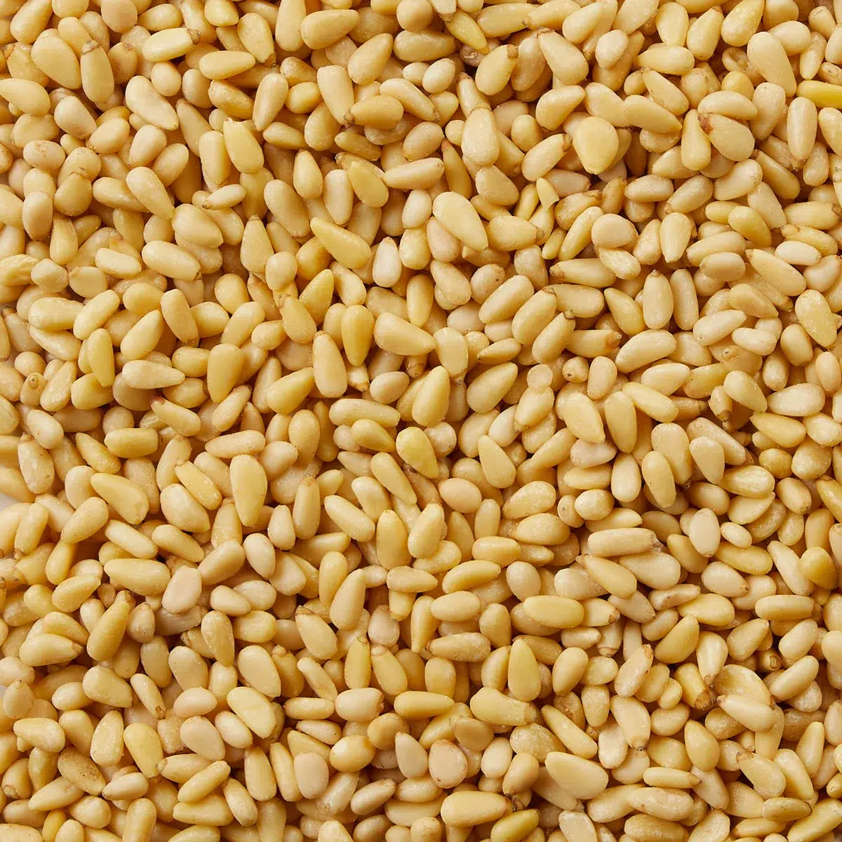 Kirkland Signature Organic Pine Nuts - Image 5