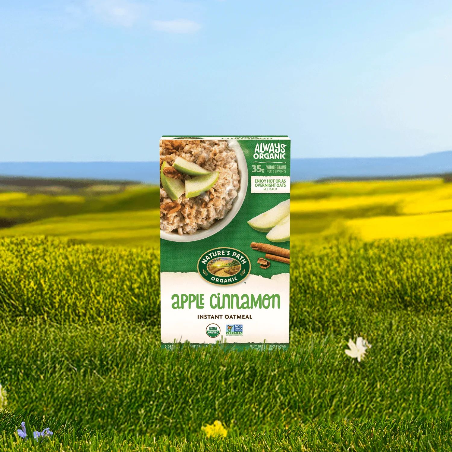 Nature’s Path - Instant Oatmeal (Apple Cinnamon) - Image 2