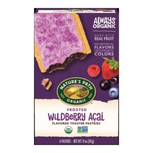 Nature’s Path - Toaster Pastries (Frosted Wildberry Açaí)