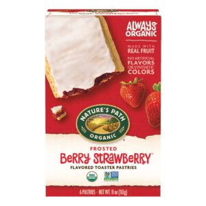 Nature’s Path - Toaster Pastries (Frosted Berry Strawberry)